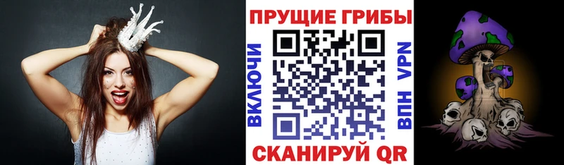 Псилоцибиновые грибы Psilocybine cubensis  Козельск 